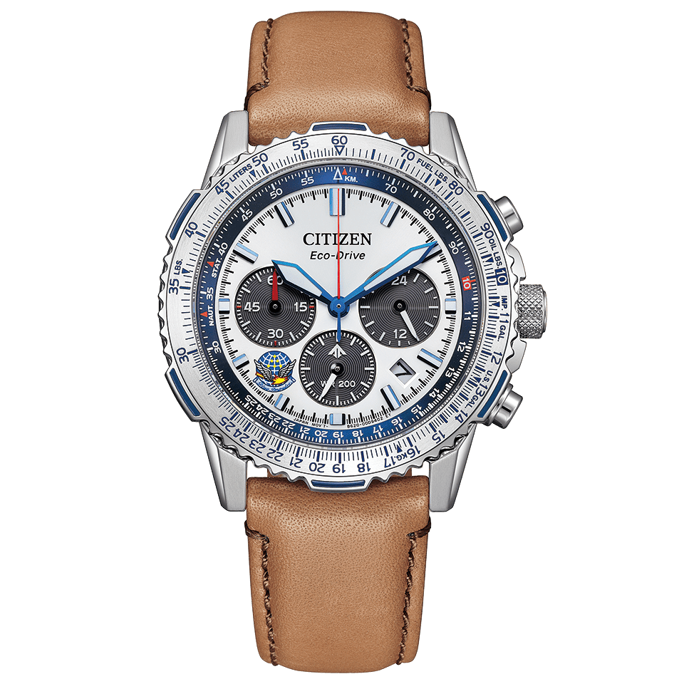 IPPO JAPAN WATCH CA4661-09A Citizen Promaster solar Eco-D | IPPO Japan IPPO JAPAN WATCH CA4661-09A Citizen Promaster solar Eco-D | IPPO Japan