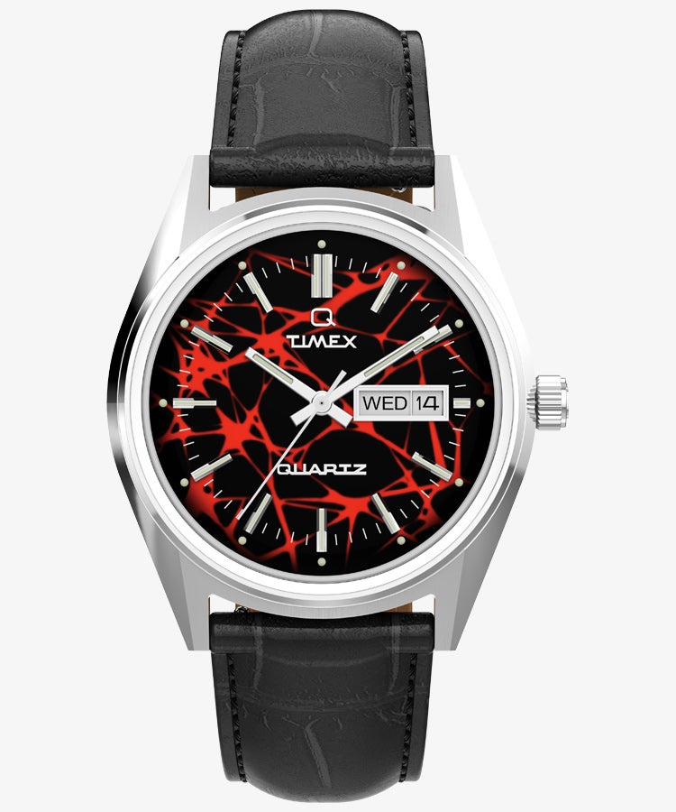 TIMEX TW2Y55700 Watch