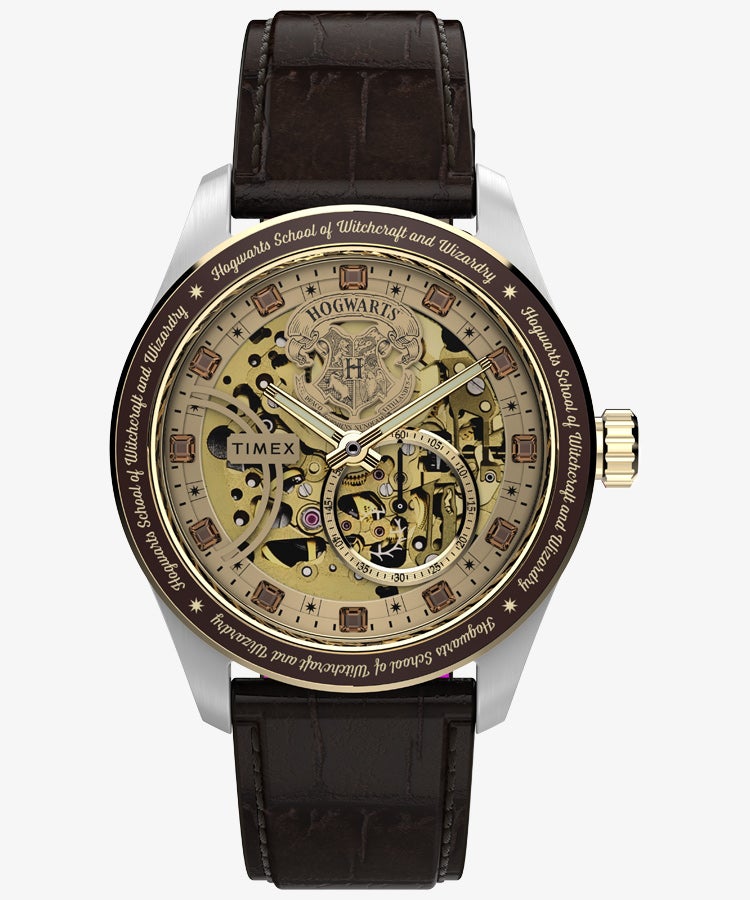 TIMEX TW2Y75500 Watch