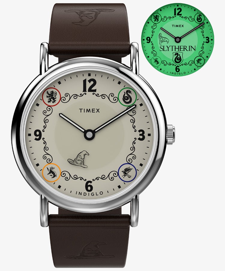 TIMEX TW2Y76400 Watch