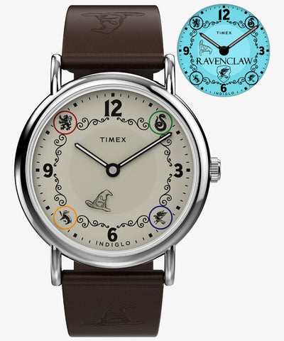 TIMEX TW2Y76500 Watch
