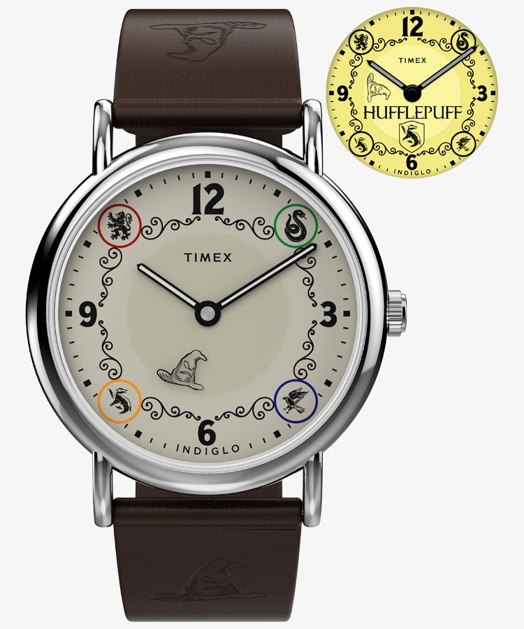 TIMEX TW2Y76600 Watch