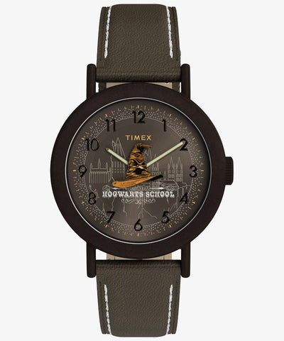 TIMEX TW2Y77000 Watch