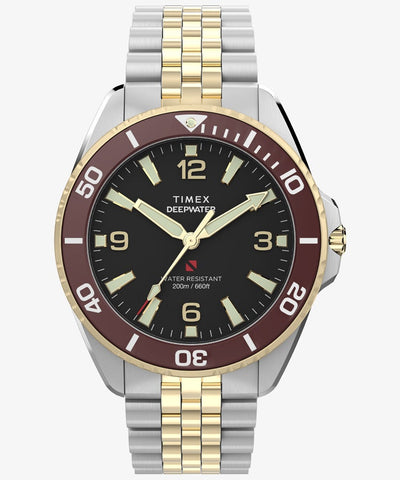 TIMEX TW2Y64700 Watch