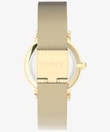 TIMEX TW2W87300 Watch