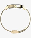 TIMEX TW2W19500 Watch