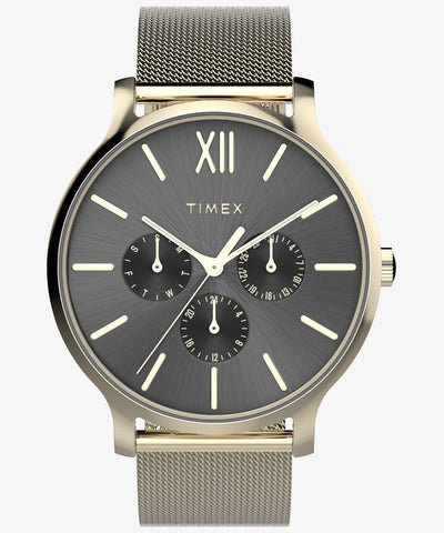 TIMEX TW2W20000 Watch