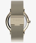TIMEX TW2W20000 Watch