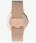 TIMEX TW2W19600 Watch