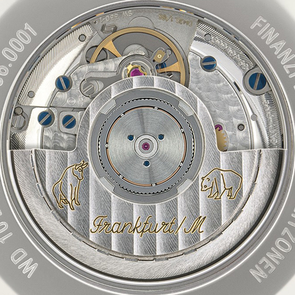 Sinn 6096 Watch