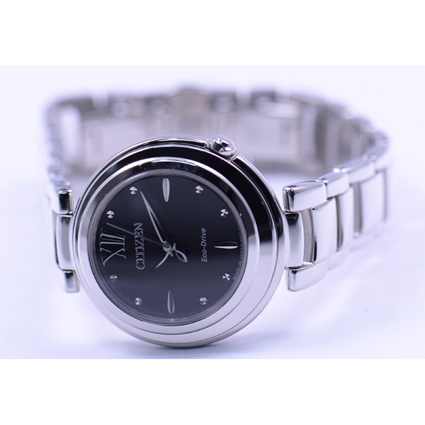 CITIZEN EM0338-88E Watch (Image 3)
