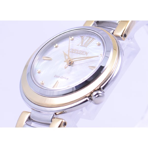 CITIZEN EM0339-85D Watch (Image 2)