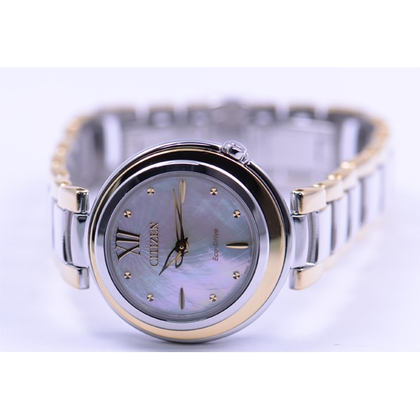 CITIZEN EM0339-85D Watch (Image 3)