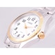Sun Flame SSL02-TW Sun Flame