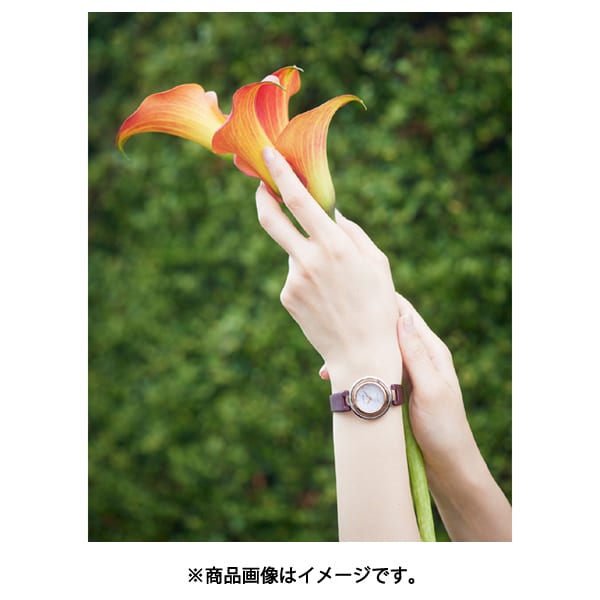 【送料無料】腕時計 CITIZEN EM0669-21X レディース エル エコ・ドライブ アークリーシリーズ Kanon-inspired Design CITIZEN EM0669-21X EM0669 21X Eco Drive Ladies Watch with | IPPO