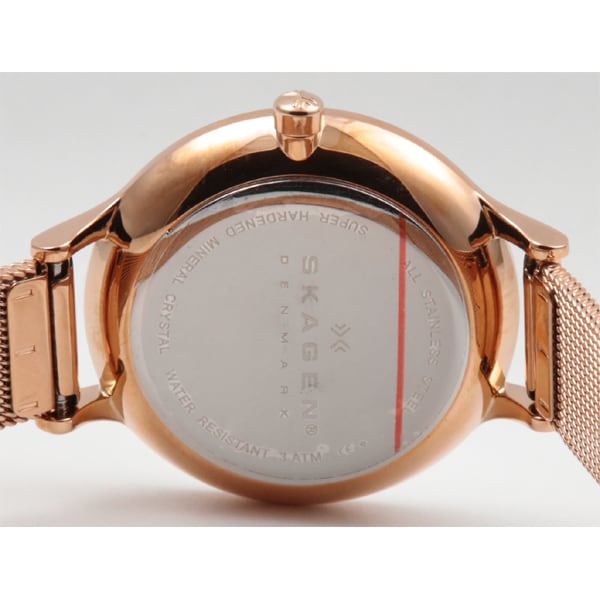 SKAGEN SKW2151 Watch - Ladies' SKAGEN Watch - Elegant Design with Stainless Steel and Quartz Movement (Image 4)