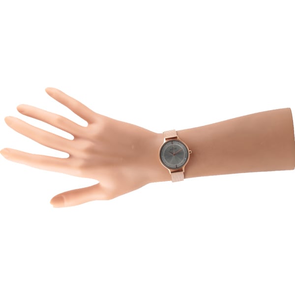 SKAGEN SKW2151 Watch - Ladies' SKAGEN Watch - Elegant Design with Stainless Steel and Quartz Movement (Image 6)