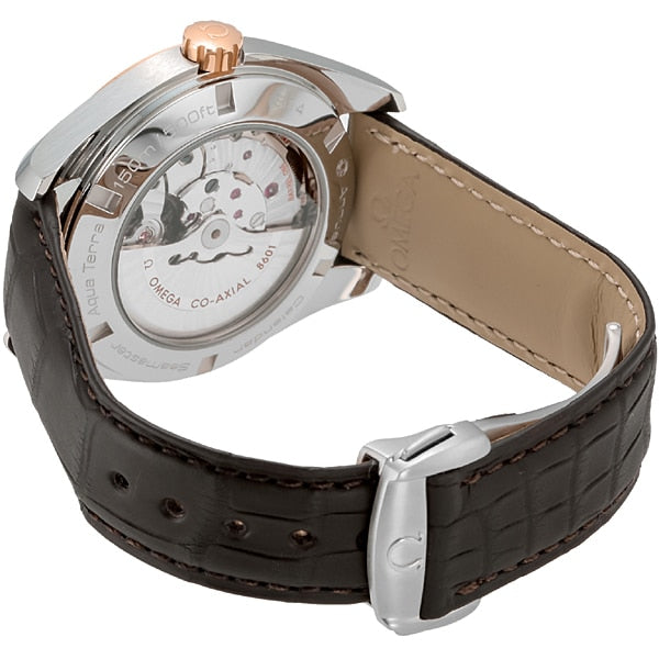 OMEGA 231.23.43.22.06.002 Watch (Image 4)