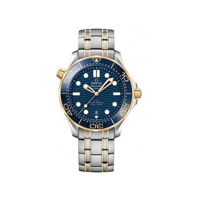 OMEGA 210.20.42.20.03.001 Watch