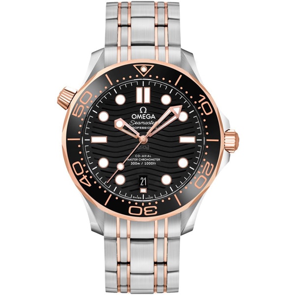 OMEGA 210.20.42.20.01.001 Watch