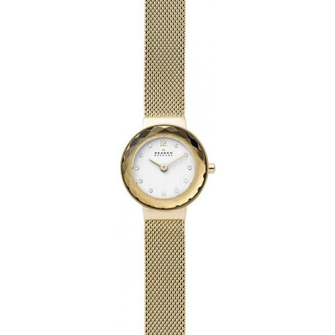 SKAGEN SKW2800 SKAGEN