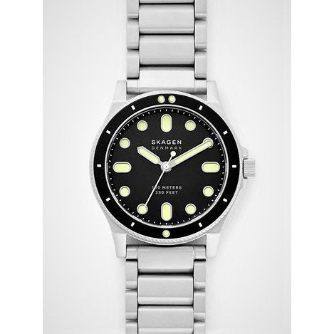 SKAGEN SKW6666 SKAGEN