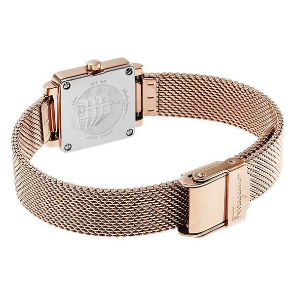 FERRAGAMO SFBY00219 Watch - Women's Elegant Metal Band Watch with 2 Year Warranty, Stylish Design and Reliable Precision (Ima