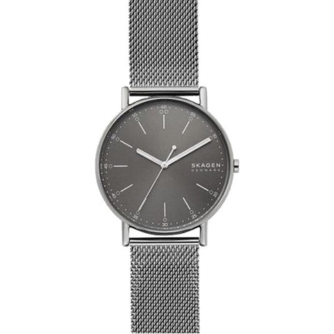 SKAGEN SKW6577 Watch