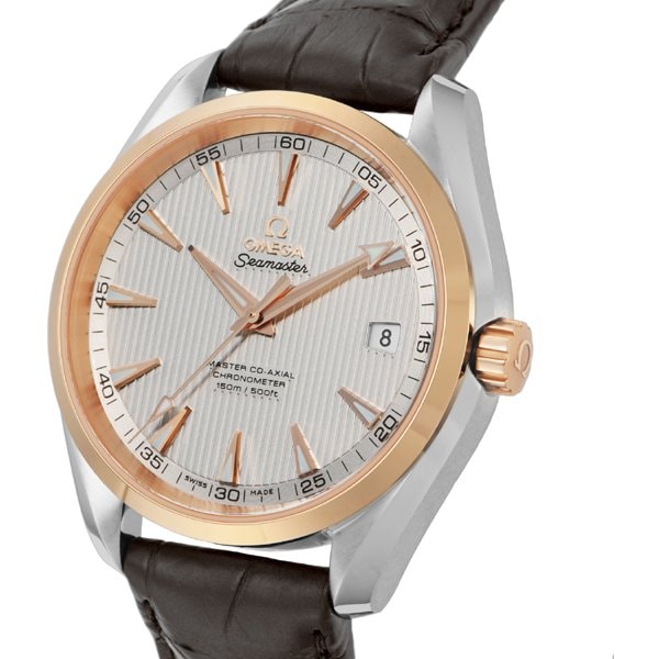 OMEGA 231.23.42.21.02.001 Watch (Image 2)
