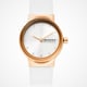 SKAGEN SKW3029 SKAGEN