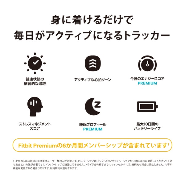 Fitbit FB424BKBK-FRCJK Fitbit