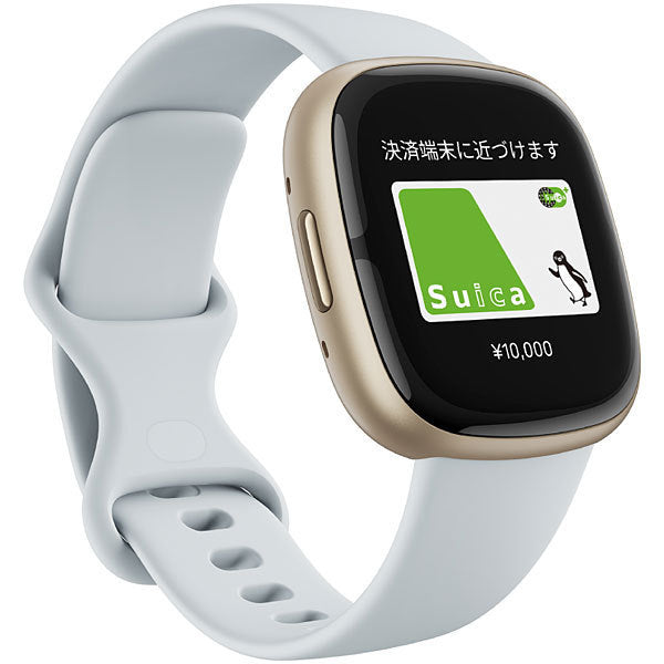 Fitbit FB521GLBM-FRCJK Fitbit
