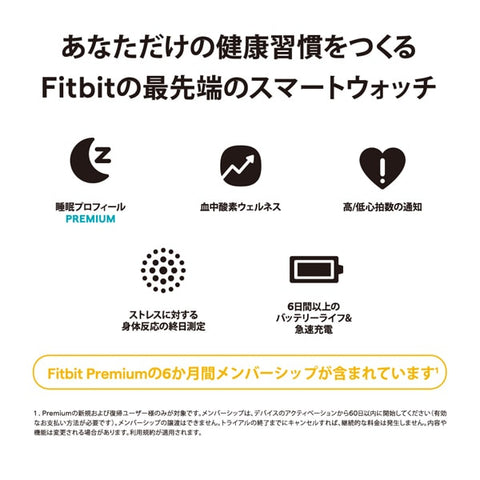 Fitbit FB521GLBM-FRCJK Fitbit