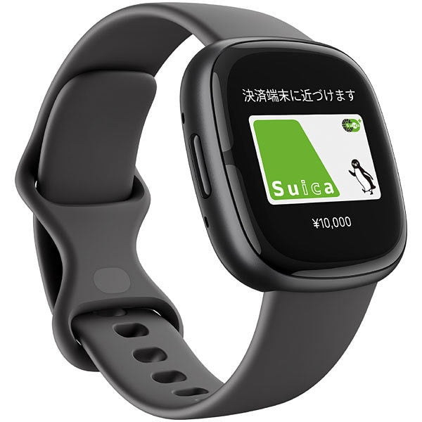 Fitbit FB521BKGB-FRCJK Fitbit
