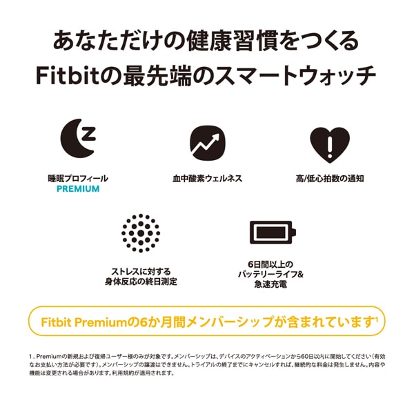 Fitbit FB521BKGB-FRCJK Fitbit