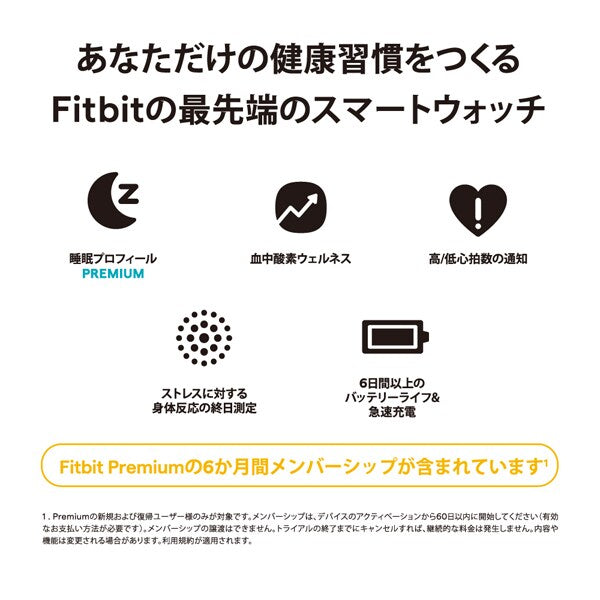 Fitbit FB521SRWT-FRCJK Fitbit