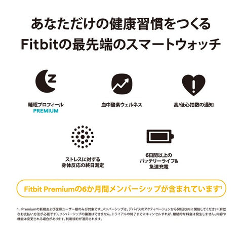 Fitbit FB521SRWT-FRCJK Fitbit