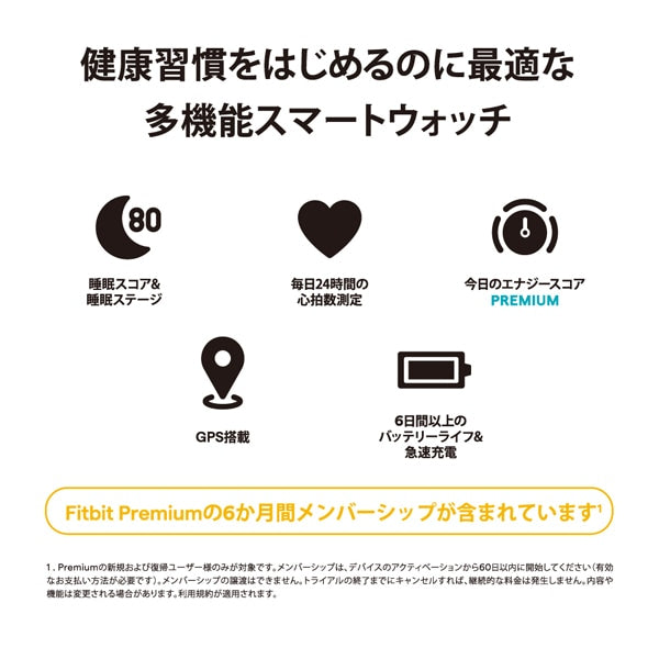 Fitbit FB523BKBK-FRCJK Fitbit