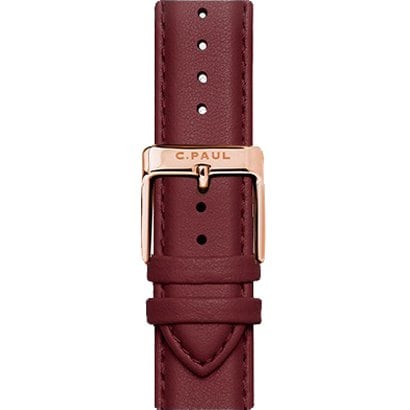 Christian Paul RE05BUSPG Christian Paul