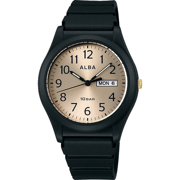 SEIKO AQPJ412 Watch