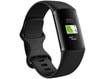 Fitbit GA05183-AP Fitbit