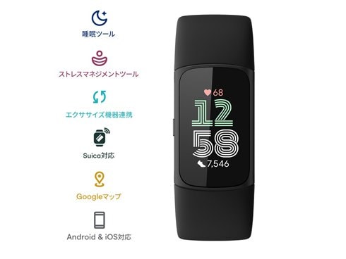 Fitbit GA05183-AP Fitbit