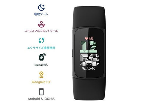 Fitbit GA05183-AP Fitbit