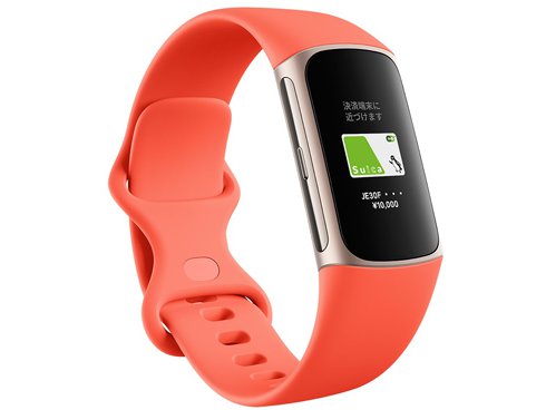 Fitbit GA05184-AP Fitbit