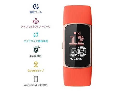 Fitbit GA05184-AP Fitbit