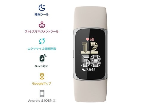 Fitbit GA05185-AP Fitbit