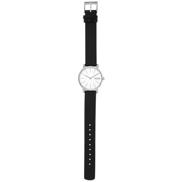SKAGEN SKW3120 SKAGEN