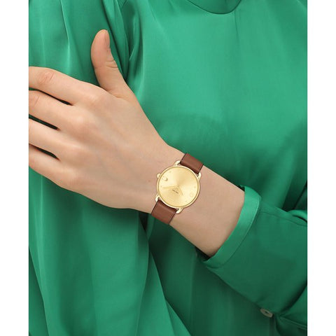 COACH 14504201 Watch - COACH ELLIOT 2-Year Warranty [Parallel Import] Brown Belt - Stylish & Durable Accessory (Image 2)