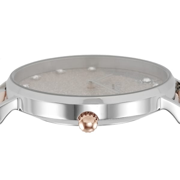 COACH 14503522 Watch (Image 4)