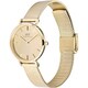 Daniel Wellington DW00100797 Daniel Wellington